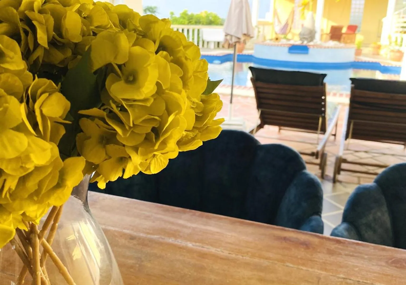 La Pura Vista Resort 빌라 크랄렌데이크